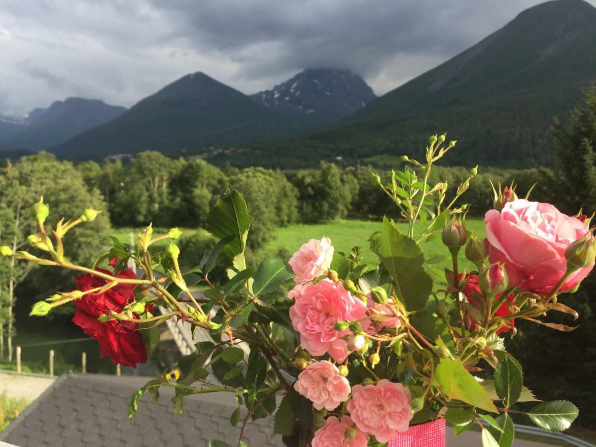 Apartment Dreamvalley Isfjorden Экстерьер фото